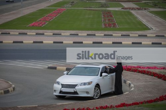 Businesswoman closing the back seat of the car|