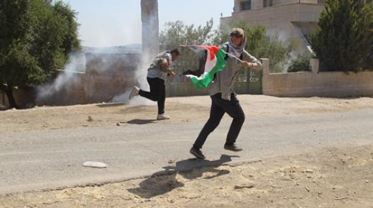 Palestinian resistance