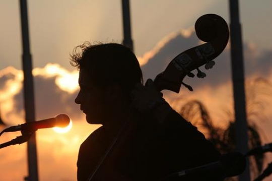 Musician