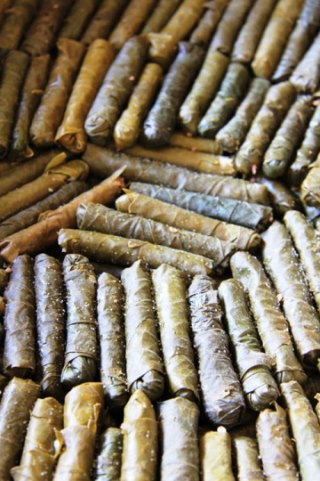 vine leaves