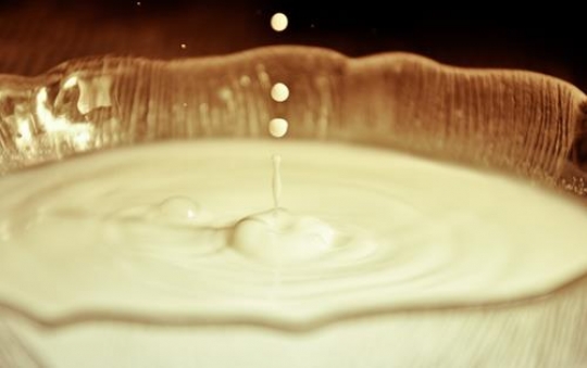 Milk