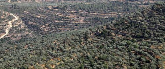 Beit Rimay