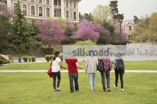 Friends walking together on campus|