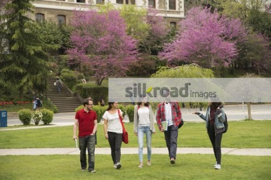 Group of Friends walking together on campus|