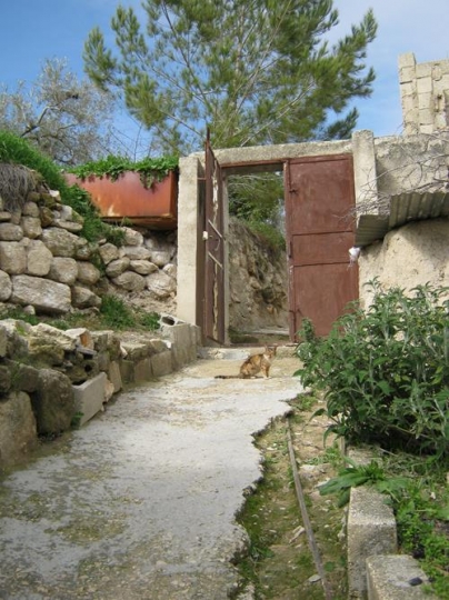 old house in nablus