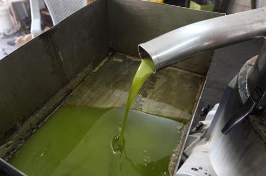 oil mill