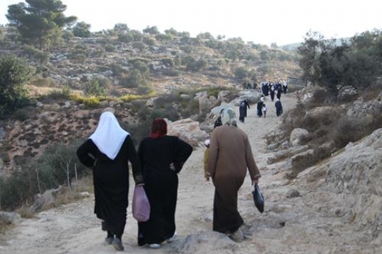 Harvest Continues in Salim Despite Occupation