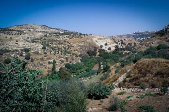 iraq al-amir,Jordan