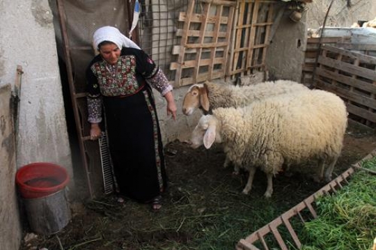 palestinian woman