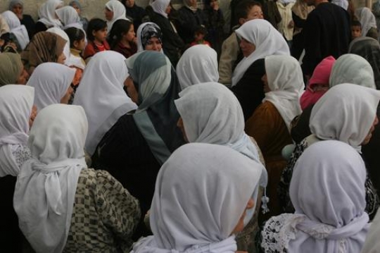 palestinian women