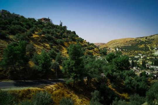 iraq al-amir,Jordan