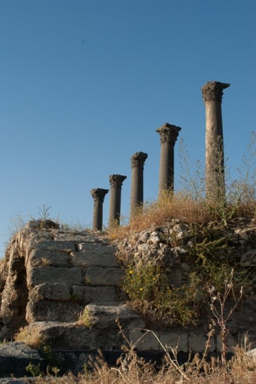 remains of shops and temple,umm qais