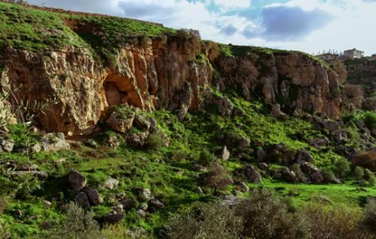 iraq al amir,jordan