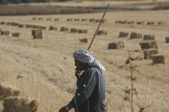farmer