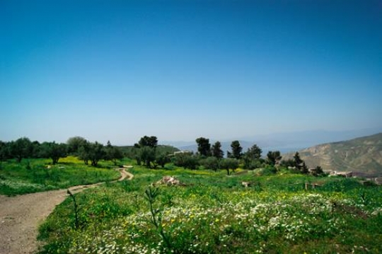 umm qais,gadara city north-wes