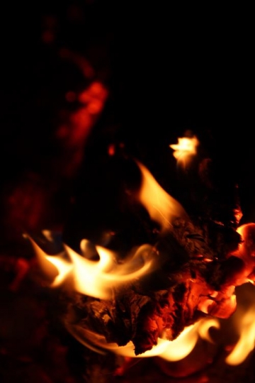 fire flames on a black background