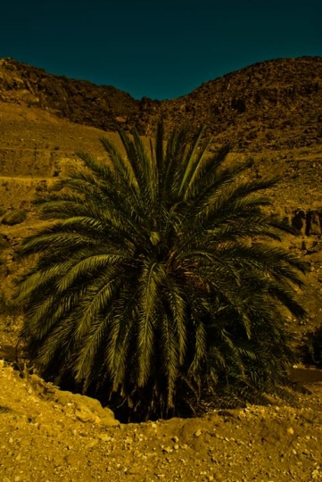 wadi himara,jordan