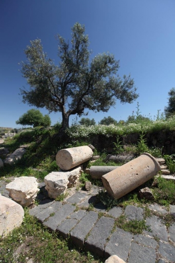Um Qais Ruins