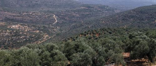 Beit Rima