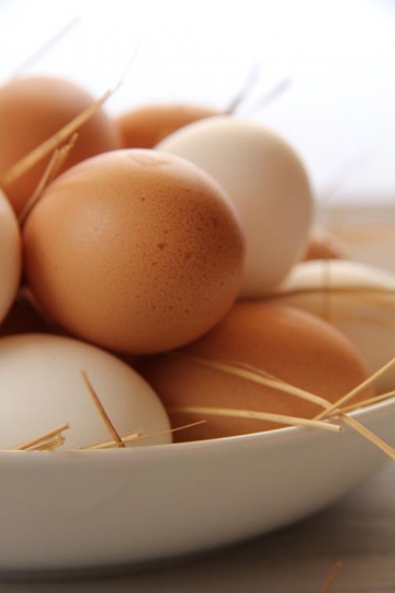 eggs