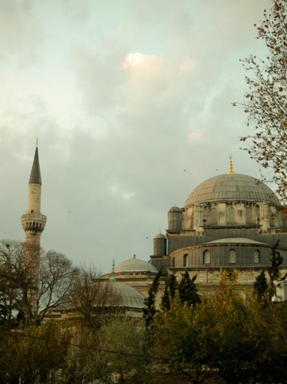 Minaret And Dome