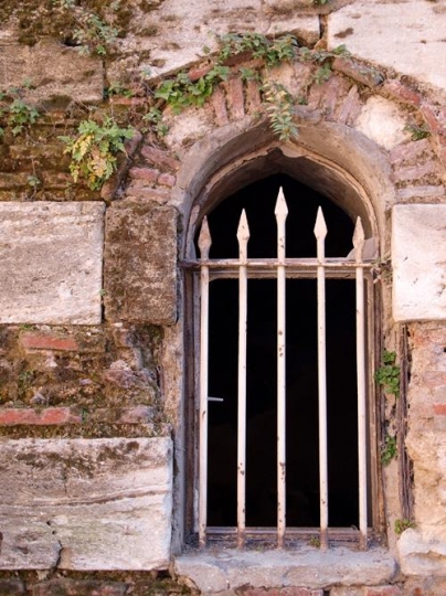 Window 